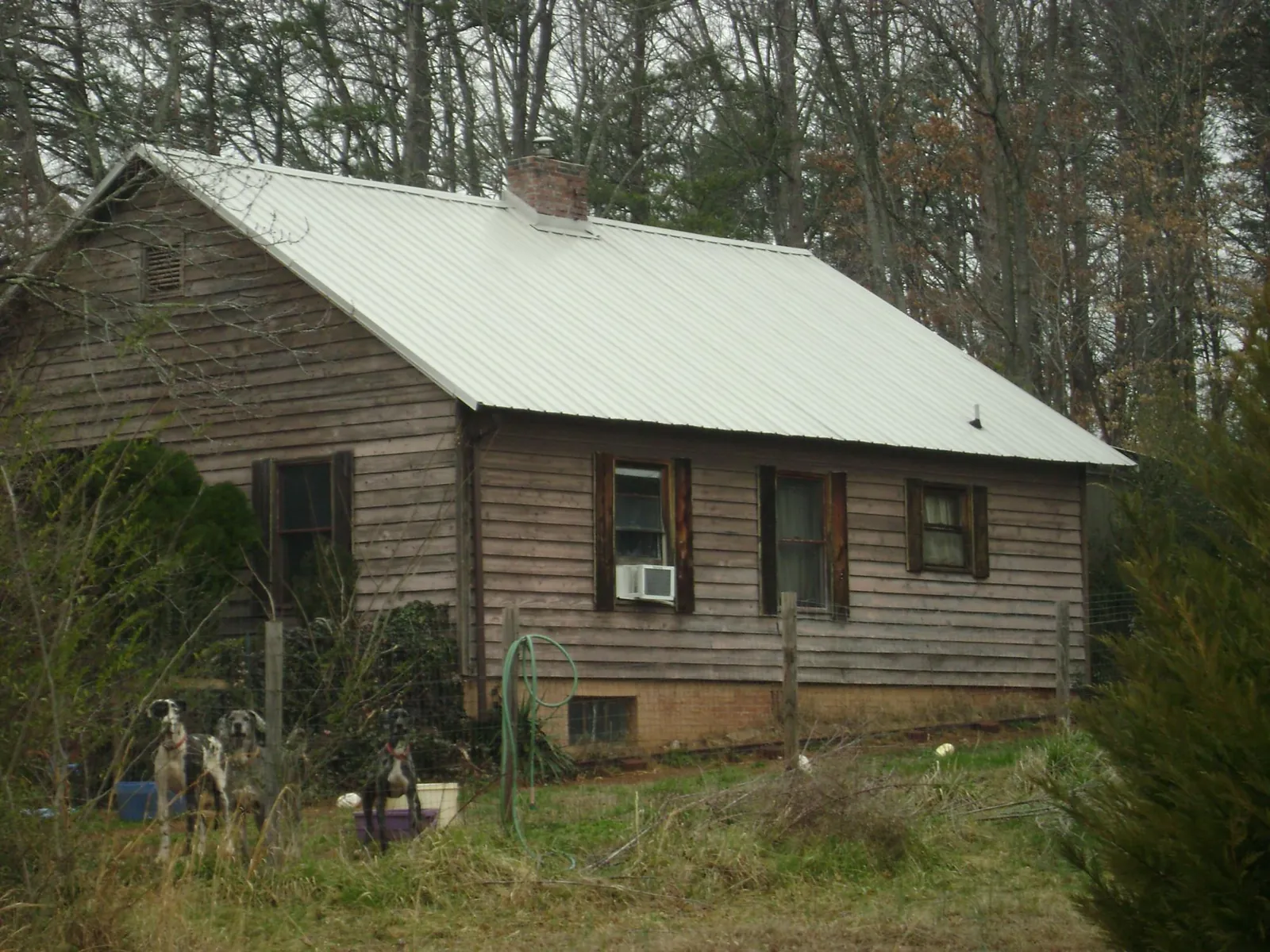 White metal roof on an old wood sided farmhouse, from a Asphalt Shingle Roof Repair job in East Wenatchee